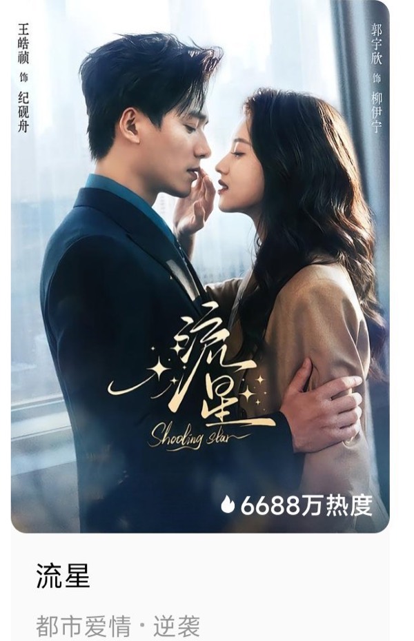 短剧《流星》竖版作品海报